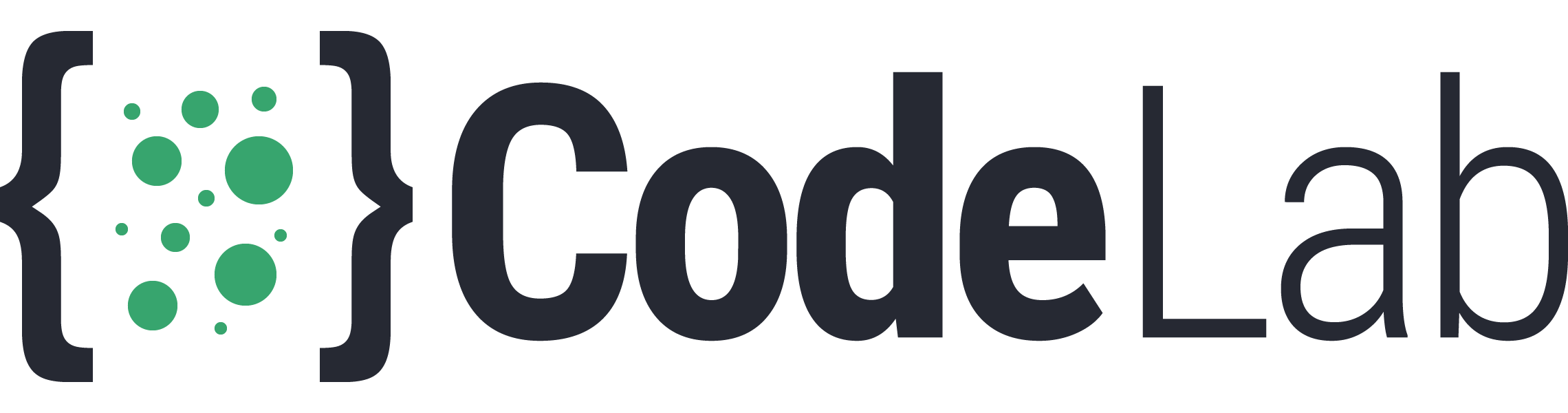 code lab 1